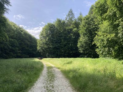 Napkozis-01